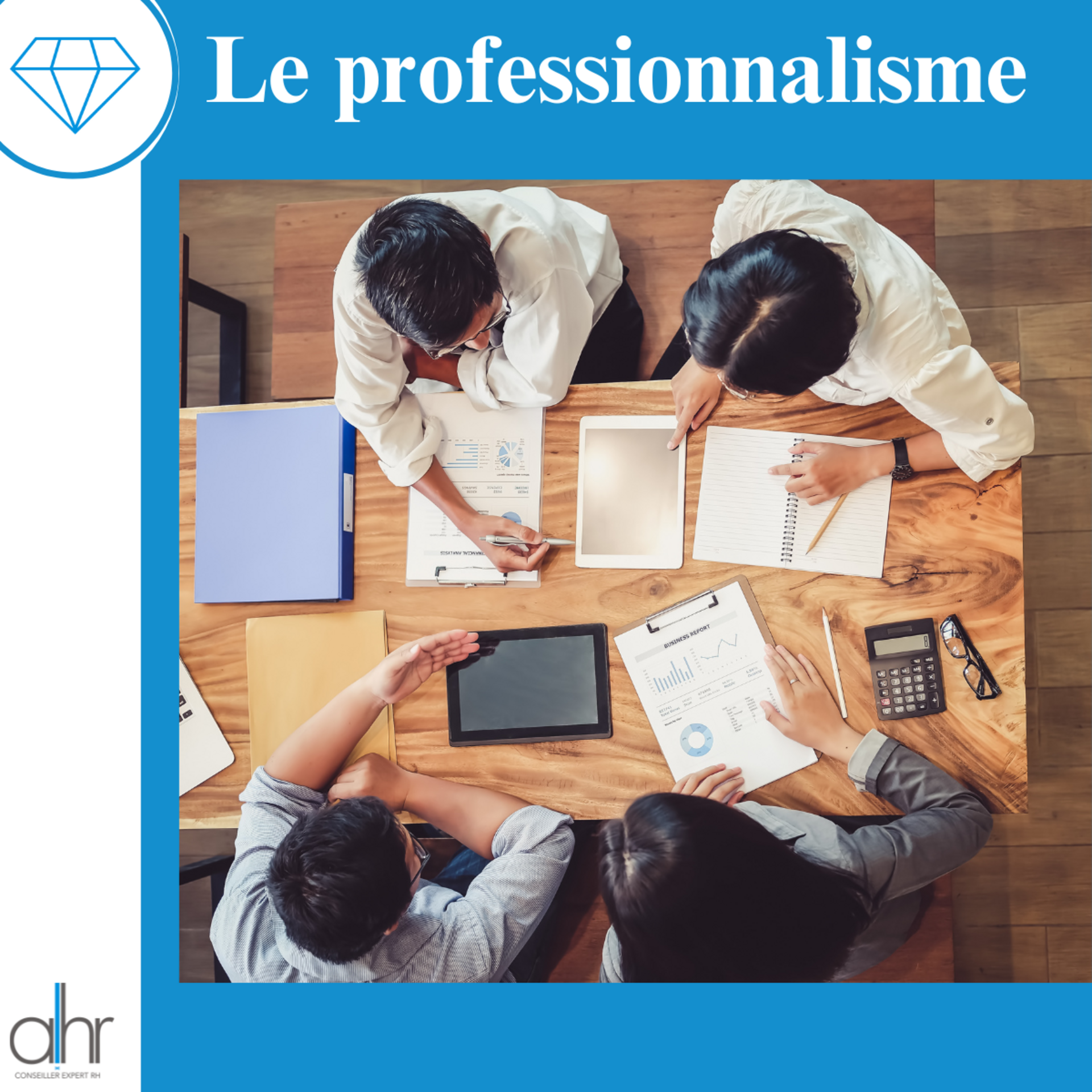 Le professionnalisme
